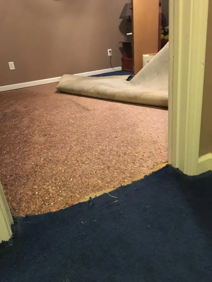 Carpet pad removal revealing water damage during Water Mitigation Services in Glenn Dale